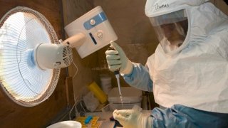 ebola