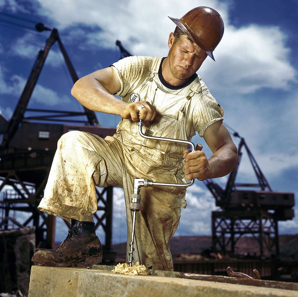785px-PalmercarpenterA