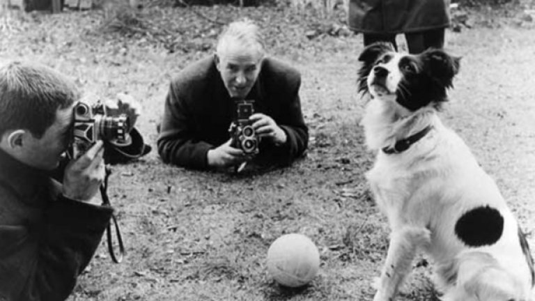 Пикълс става медийна звезда за една нощ