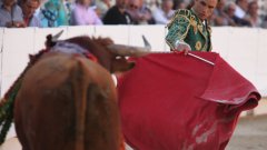 Борбата за бъдещето на бикоборството отива далеч отвъд Испания