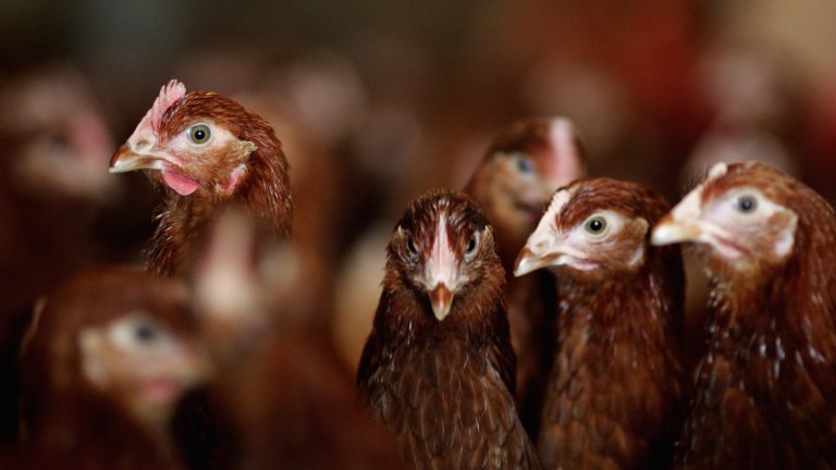 Проучване показва, че етикетите с предупреждения имат ефект