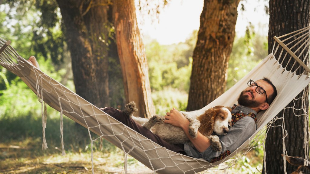 Resting with dog in a hammock outdoors