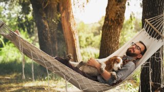 Resting with dog in a hammock outdoors