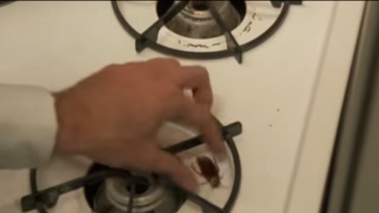 Целувката на Вампира (Vampire's Kiss, 1989)