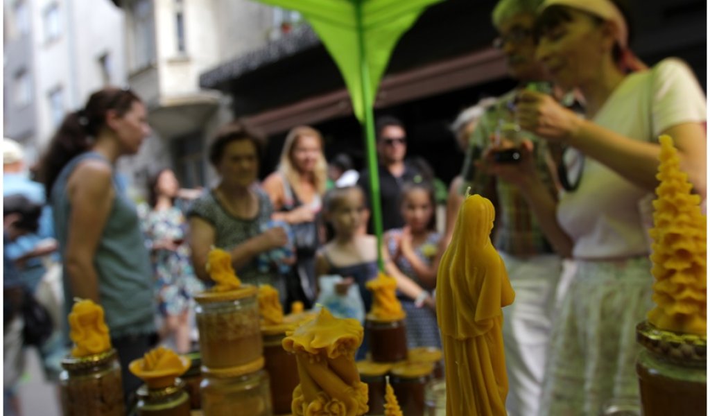 София диша 2015
