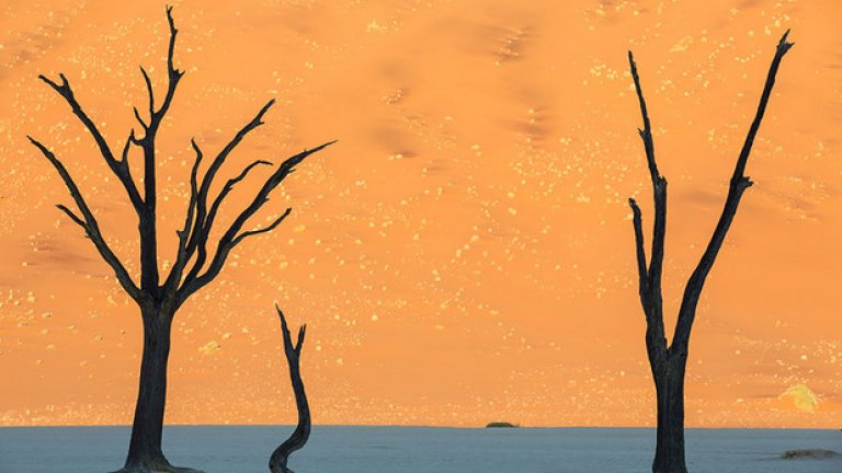 Пясъчни дюни в Намибия