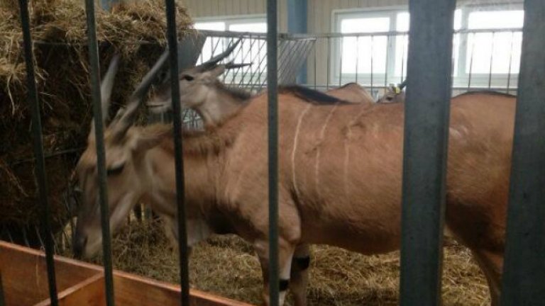 Лайфстайлът на Янукович (СНИМКИ)