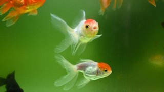 shuvrodeep-dutta-2yedUjJVTvc-unsplash