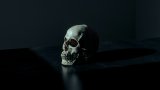 mathew-macquarrie-u6OnpbMuZAs-unsplash