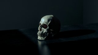 mathew-macquarrie-u6OnpbMuZAs-unsplash