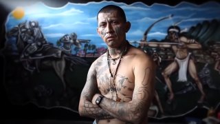 Банди обединени от абсолютната безкомпромистност и пословично известна жестокост, когато става въпрос за печелене пари