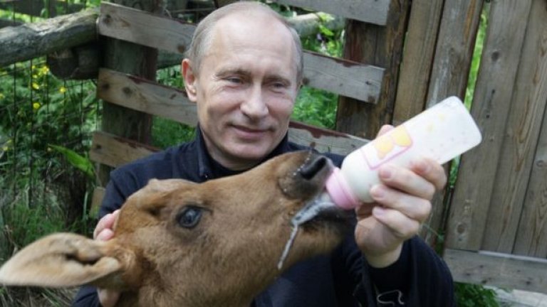 "Няма да хапеш, нито да мляскаш", предупреди Путин животното."
