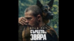 Кучето, което открадна филма на Брад Пит