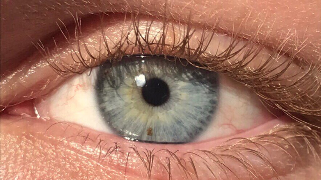 A_close_up_of_a_blue-green_human_iris_(with_visible_freckle).