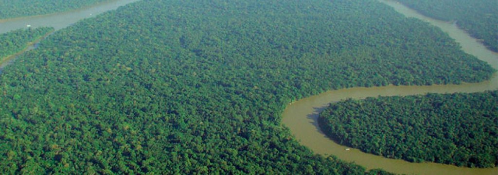 aerial_view_of_the_amazon_rainforest