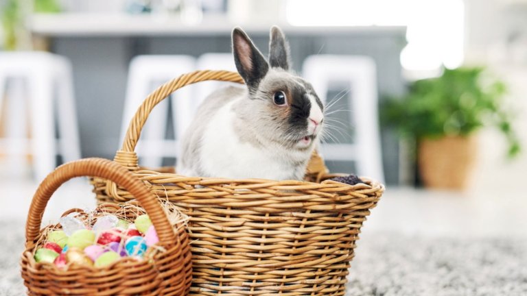 Добре де... има и някои дребни недостатъци