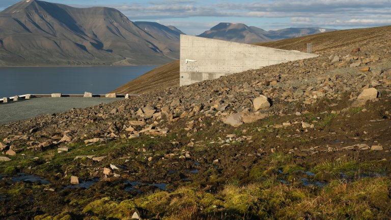 Храната, която ще оцелее и след Армагедон, за да спаси човечеството