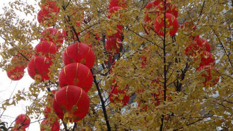 Чунцин, Китай, подготовка за китайската Нова година, която се пада на 23 януари  