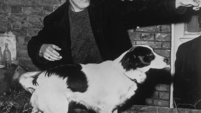 Дейв и Пикълс през 1966-а