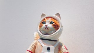 hester-qiang-b3NaswrROkI-unsplash