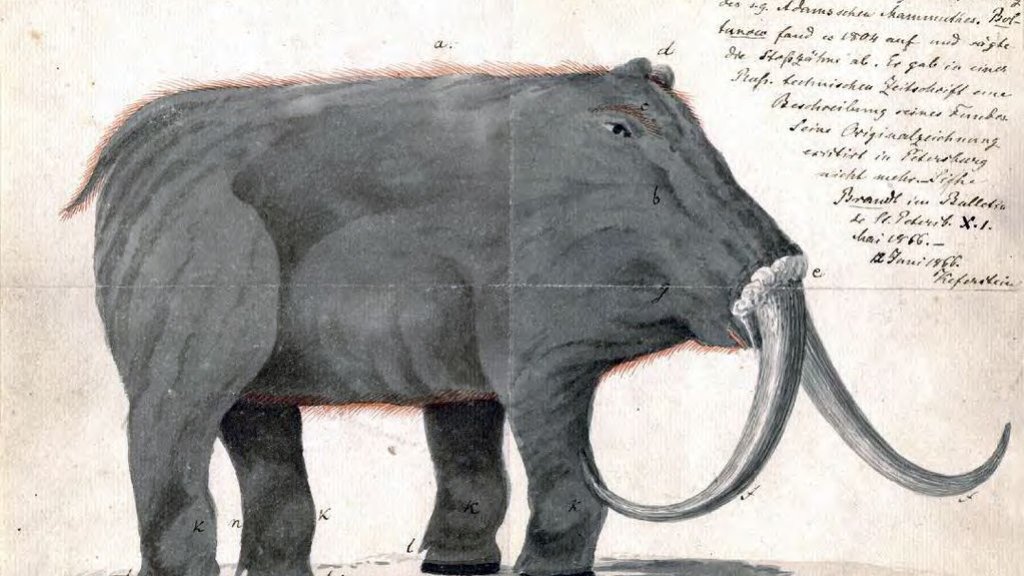 Boltunov_mammoth