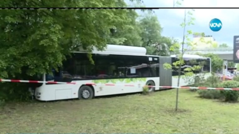 Шофьорът най-вероятно е получил удар, което го е принудило да забие автобуса в близкия парк