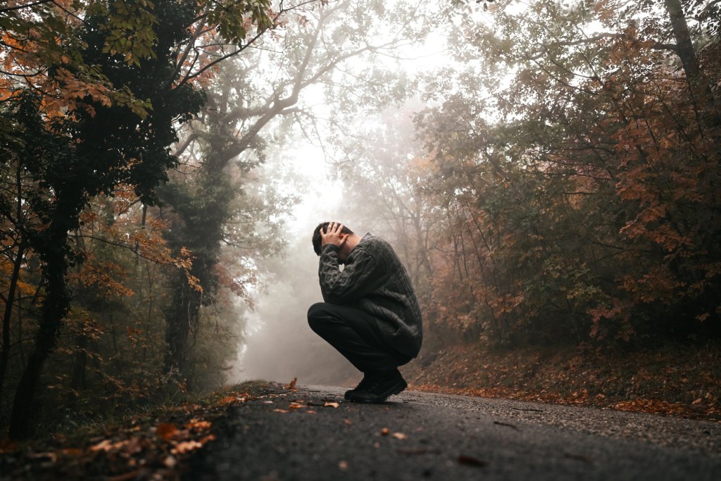 Биофобия: далеч не всички обичат "птичките и пчеличките"