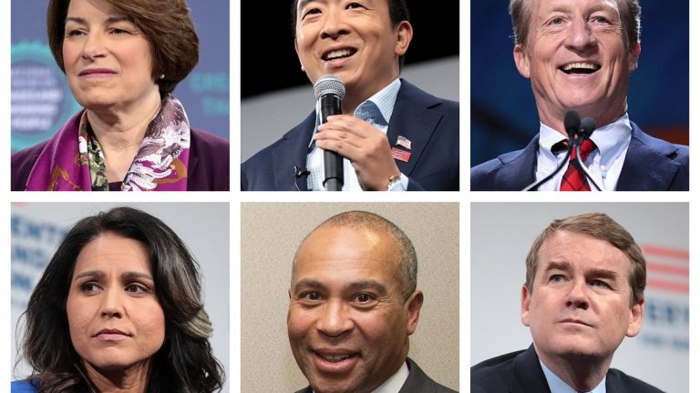 Други
С риск да подценим нечестно останалите кандидати, ги слагаме в една обща графа, просто заради твърде нищожните им шансове да направят нещо по-сериозно в тази кампания. Според оценките на букмейкърите техните шансове за победа падат под 1 процент и е много вероятно още след първите резултати да се откажат от надпреварата. 
Тук влизат сенаторът от Минесота Ейми Клобучар, бизнесменът и предприемач Андрю Йънг, хеджфонд мениджърът Том Сейер, конгресменът от Хавай Тулси Габард, губернаторът на Масачузетс Девал Патрик и сенаторът от Колорадо Майкъл Бенет.