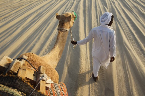 Местен жител придружава туристи на камили през пустинните дюни
