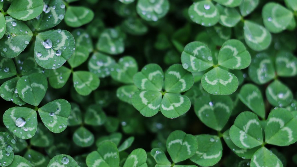 yan-ming-w1MrSC_JMs8-unsplash