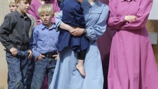 Системната полигамия с необратими последици за здравето