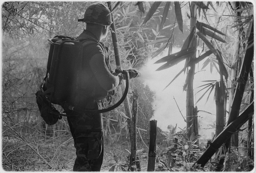 lossy-page1-1280px-Da_Nang,_Vietnam...._Sergeant_Robert_E._Fears_clears_an_area_using_his_flamethrower._-_NARA_-_532491.tif