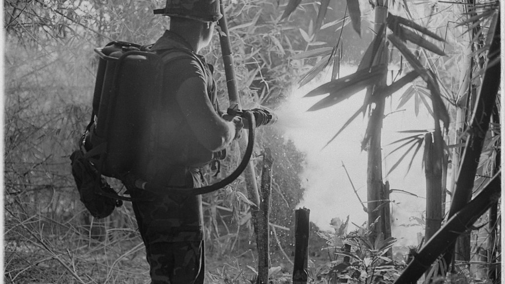 lossy-page1-1280px-Da_Nang,_Vietnam...._Sergeant_Robert_E._Fears_clears_an_area_using_his_flamethrower._-_NARA_-_532491.tif