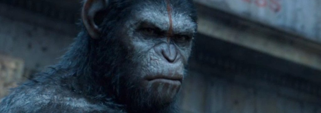 kachestven-kontrol-zorata-na-planetata-na-maymunite-filmche-net