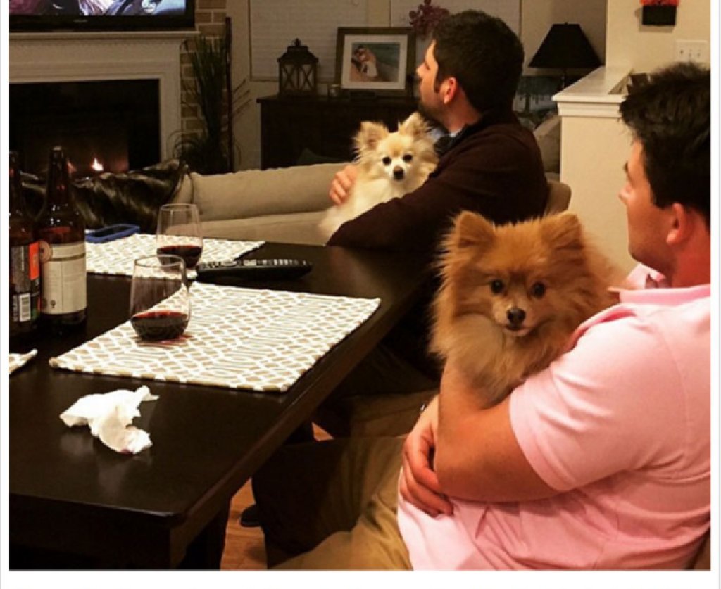 Профилът Bros Being Basic е създаден през 2014 година и има над 430 000 последователи