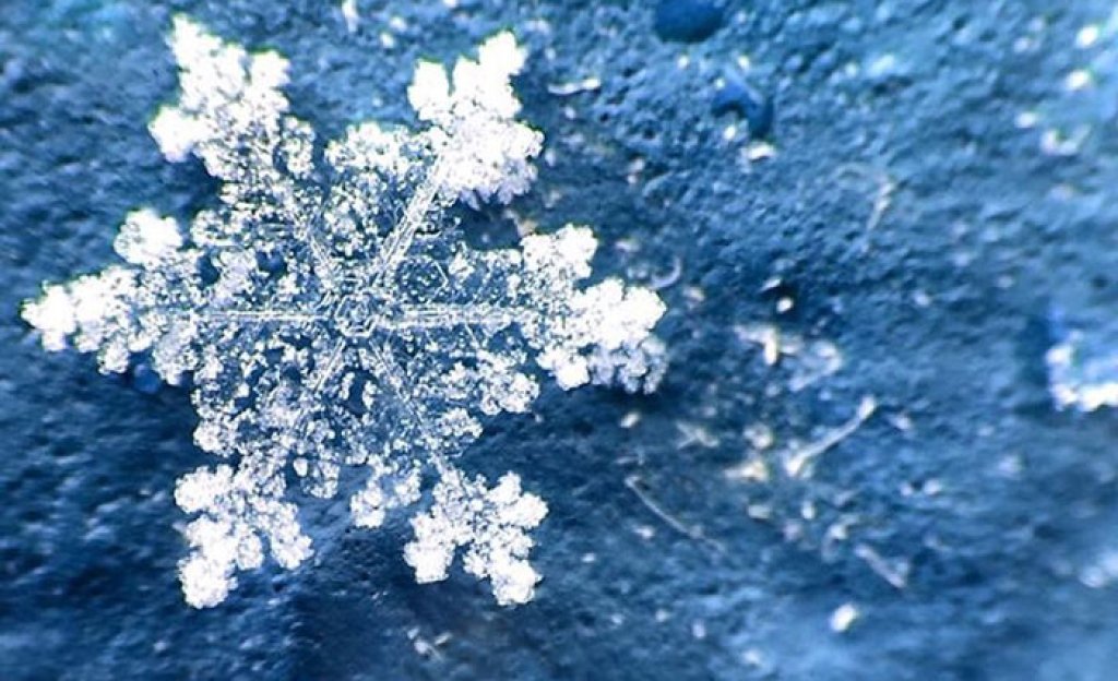 snowflakes-8__8801