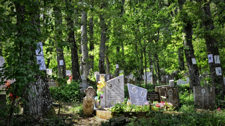 Стари и нови гробове мирно си съжителстват под шарената сянка на дърветата