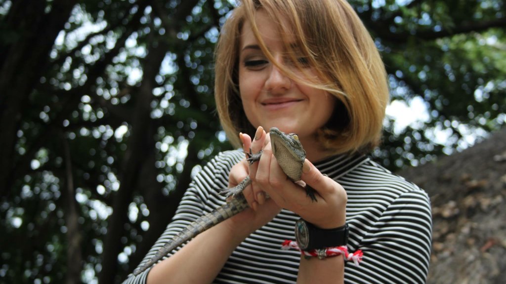 Crocodile Park2