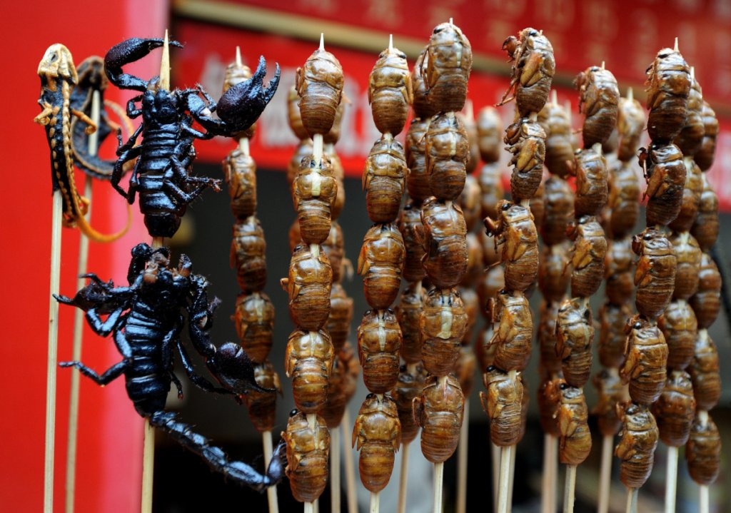 UN-AGRICULTURE-ENVIRONMENT-FOOD-INSECTS