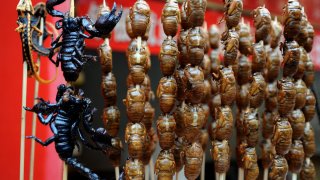 UN-AGRICULTURE-ENVIRONMENT-FOOD-INSECTS