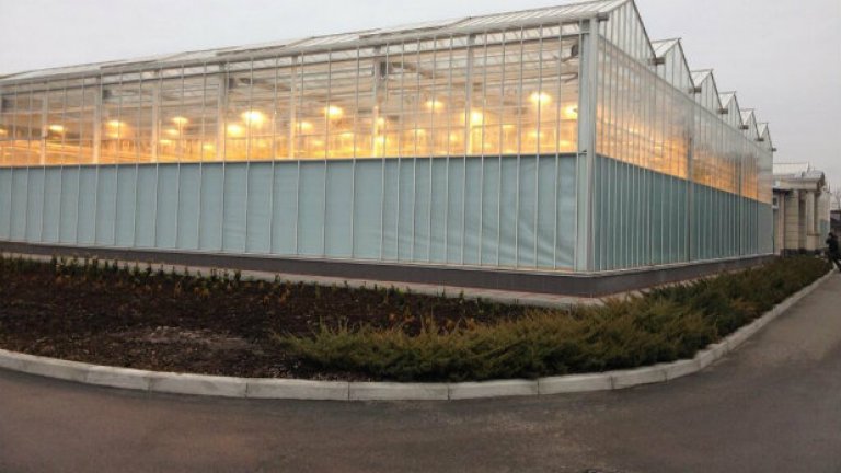 Лайфстайлът на Янукович (СНИМКИ)