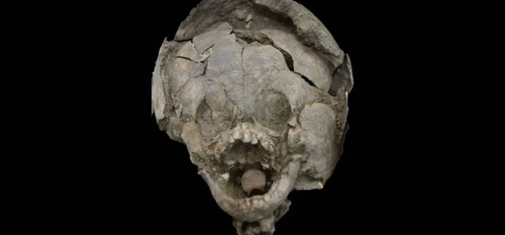 skull-and-helmet-remains