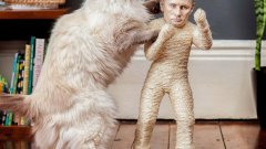 Фигурката на руския президент Владимир Путин служи като място за точене на нокти на домашните любимци. Приходите от продажбите на "чесалото" отиват за защита на свободата в интернет