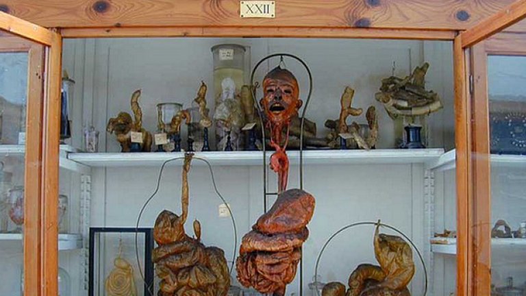 101 места, които жив да не видиш