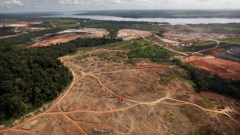 Снимки доказват, че към 2023 г. половината от тропоческите гори в Бразилия са изчезнали.
