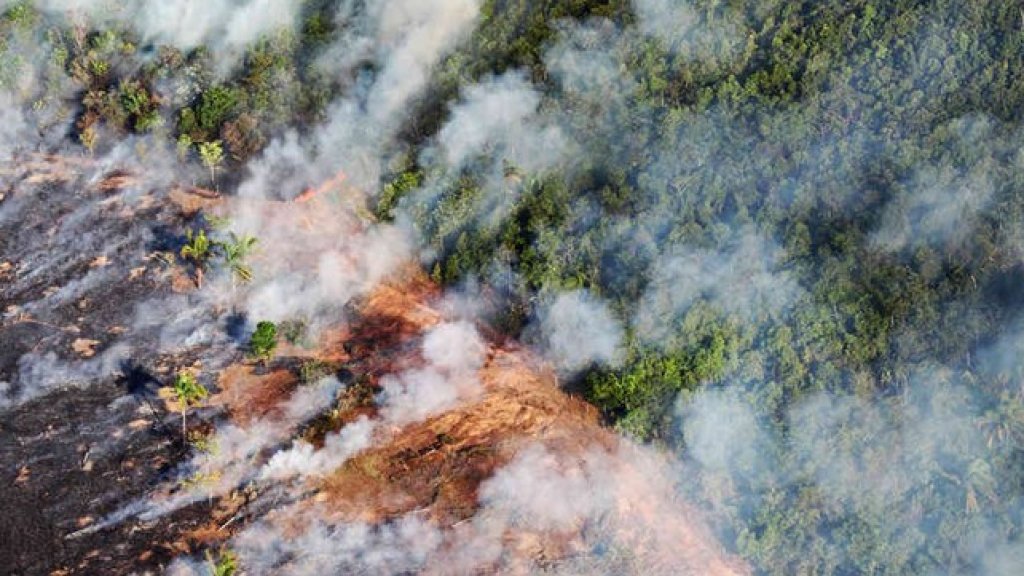 forest fire