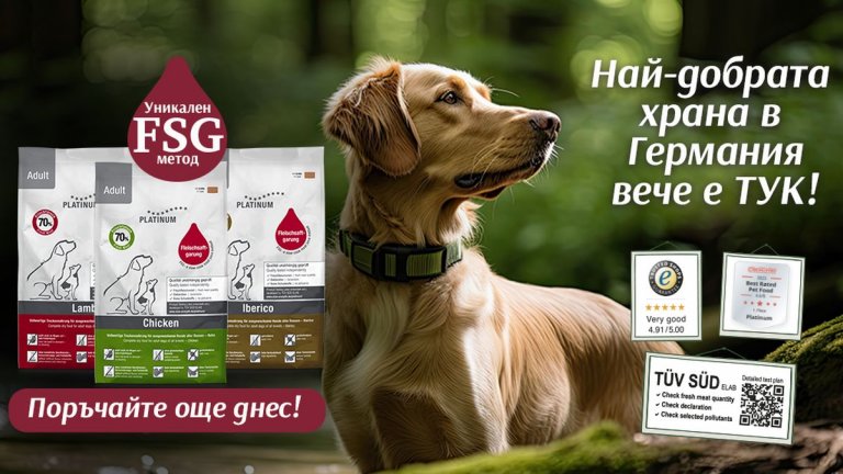 Човешка или кучешка храна за домашния любимец – няма нужда да избирате
