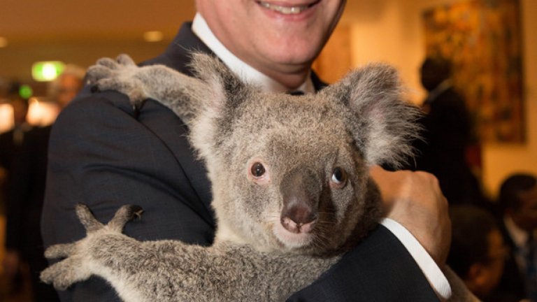 Канадският премиер Стивън Харпър