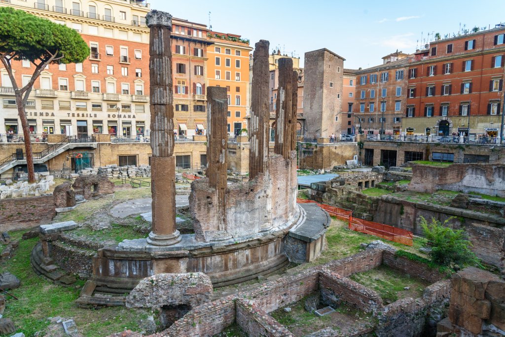 Ларго ди Торе Аржентина
На 500 метра от „Навона“ се намира площад Ларго ди Торе Аржентина със сравнително малък археологически обект с останки от 4 храма и много котки. Легендата обаче гласи, че именно тук е бил убит Юлий Цезар, намушкан от група сенатори, и тук е произнесена прочутата му финална реплика „И ти ли, Бруте?“.
Дори и тук митът да е повече от реалната история, сред руините със сигурност има купища улични котки, тъй като именно при тези разкопки е мястото, където доброволци се грижат за бездомните животинки.