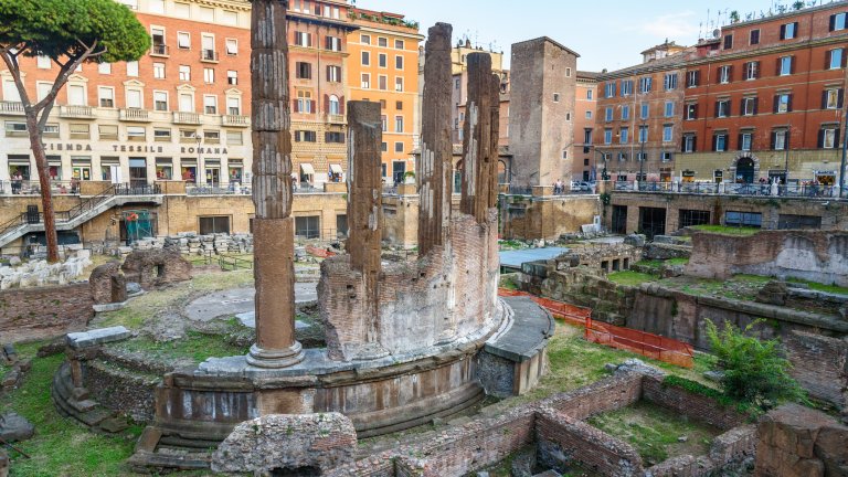 Ларго ди Торе Аржентина
На 500 метра от „Навона“ се намира площад Ларго ди Торе Аржентина със сравнително малък археологически обект с останки от 4 храма и много котки. Легендата обаче гласи, че именно тук е бил убит Юлий Цезар, намушкан от група сенатори, и тук е произнесена прочутата му финална реплика „И ти ли, Бруте?“.
Дори и тук митът да е повече от реалната история, сред руините със сигурност има купища улични котки, тъй като именно при тези разкопки е мястото, където доброволци се грижат за бездомните животинки.